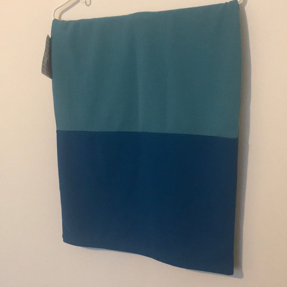 Cassie style Lularoe skirt